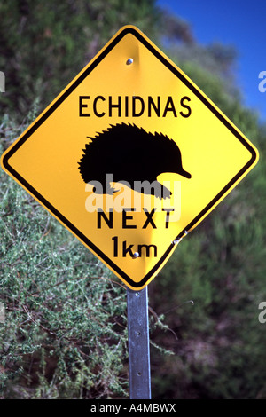 Echidnas warning sign on a road in Australia. Stock Photo