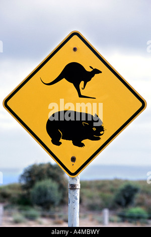 Kangaroo and wombat warning sign on a road in Australia. Stock Photo
