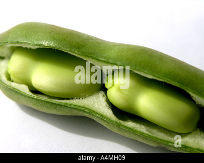 Broad Beans in a pod Stock Photo