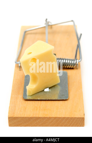 Mousetrap baited with cheese Stock Photo