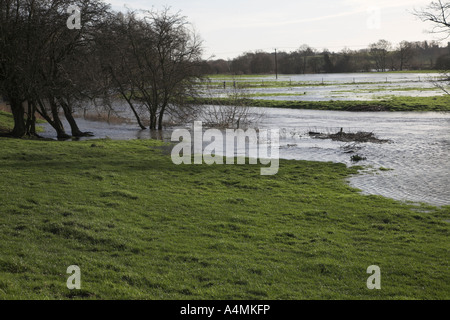 Flooding on the River Waveney, Norfolk Suffolk border near Harleston , England Stock Photo