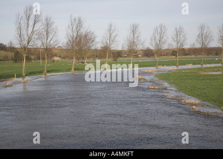 Flooding on the River Waveney, Norfolk Suffolk border near Harleston , England Stock Photo