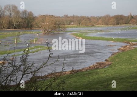 Flooding on the River Waveney, Norfolk Suffolk border near Harleston , England Stock Photo