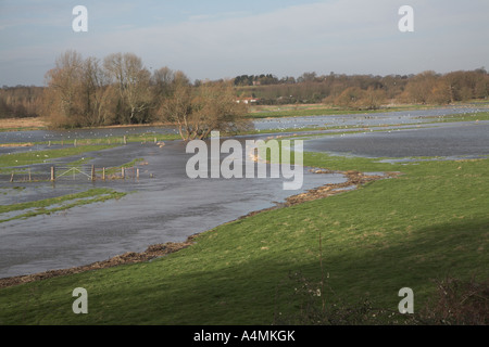 Flooding on the River Waveney, Norfolk Suffolk border near Harleston , England Stock Photo