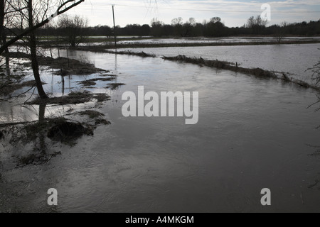 Flooding on the River Waveney, Norfolk Suffolk border near Harleston , England Stock Photo