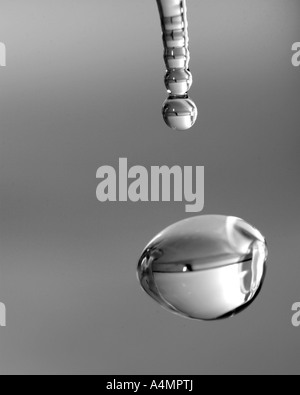 Beads of water, dropping from a tap through the air. Stock Photo