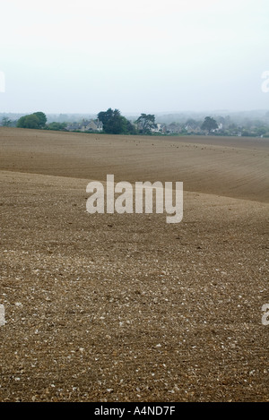 Countryside view over fields at Freshwater Bay, Isle of Wight, England, United Kingdom Stock Photo