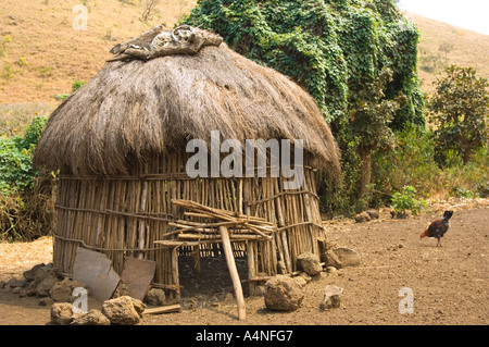 the traditional huts of an original maasai kupa family in the CHYULU MOUNTAINS  southern Kenya East Africa Taita Hills hen house Stock Photo