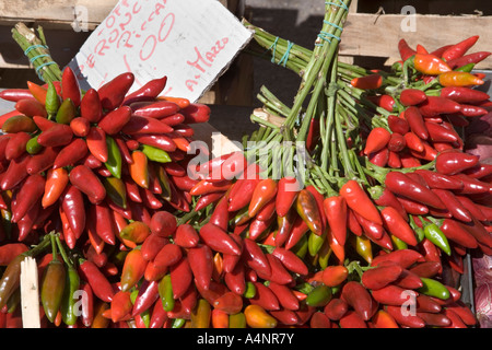 Chilli peppers on a market stall Cisternino Puglia Italy Stock Photo