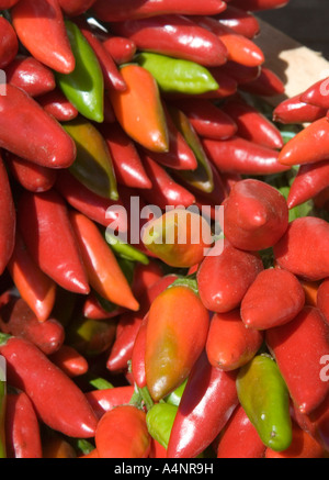 Italian Peperoncino Hot Chili Peppers for Sale at Farmers Market Stock ...
