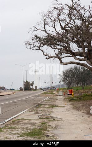 Highway 90 and Live Oak trees show signs of damage but withstand the force of Hurricane Katrina in Biloxi Mississippi Stock Photo