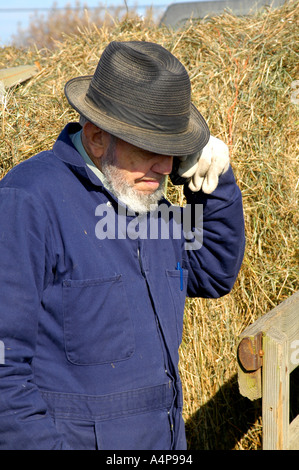 Amish male uses cellular telephone for communication Shipshewana Indiana Stock Photo