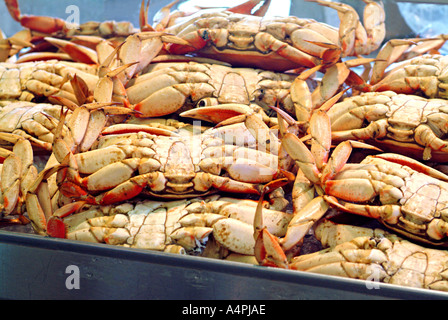 cooked crabs at seafood market Stock Photo