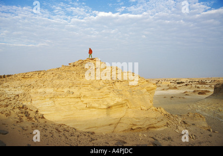 Africa Egypt Archaeological dig at Dakhla Oasis Stock Photo
