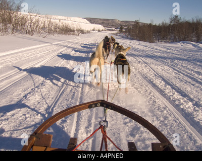 sweden lapland dog team pulling sled along road Stock Photo