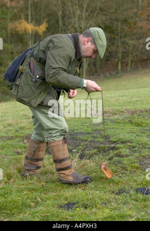 Searching for ferrets down rabbit hole with radio receiver Stock Photo