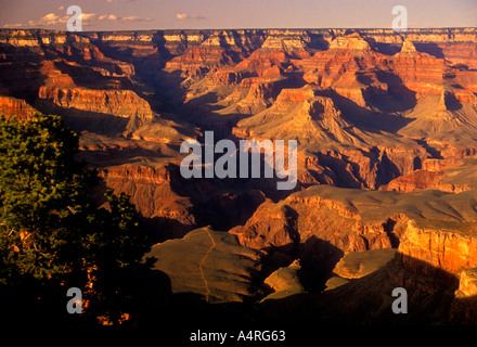 view from Trailview Overlook on the south rim of the Grand Canyon in Grand Canyon National Park Arizona United States North America Stock Photo