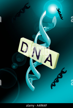 Letters DNA with helix Schriftzug DNA mit Alphadoppelhelix Stock Photo