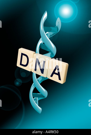 Letters DNA with helix Schriftzug DNA mit Alphadoppelhelix Stock Photo