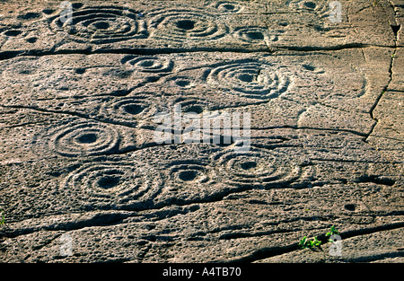 Prehistoric cup and ring mark carved stone rock art outcrop at Stock ...