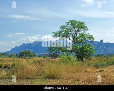 Landscape of land earth sky mountain tree on way to Malshej Ghat near Mumbai Bombay Maharashtra India Asia Stock Photo