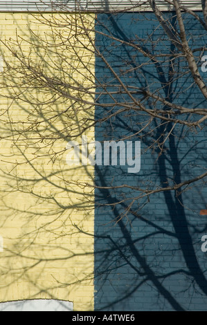 A colourfull wall Stock Photo