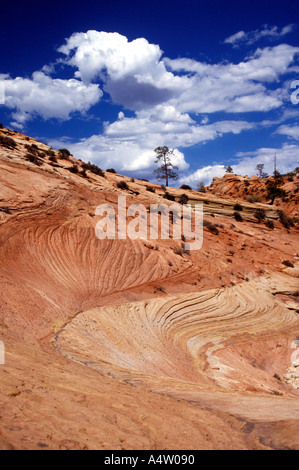 Navajo Sandstone in Zion National Park Stock Photo