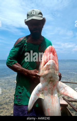 A shark caller from Kontu village on the West Coast of New Ireland brings in a shark he caught Stock Photo