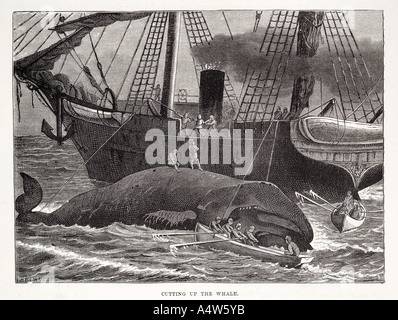 Whaling, 19th Century Stock Photo: 135089414 - Alamy