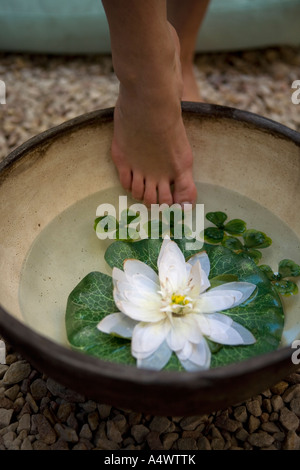 Woman stepping into bowl of water and water lilies Stock Photo