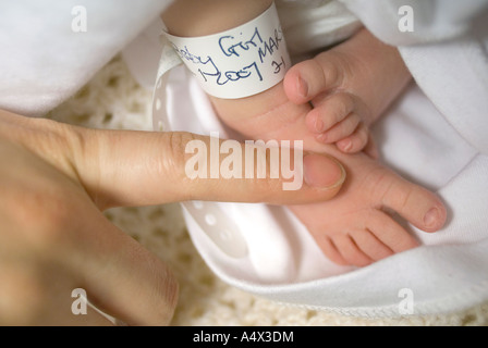 Detail of a newborn baby s feet with identification tag Mothers finger for scale Postnatal labour ward Stock Photo