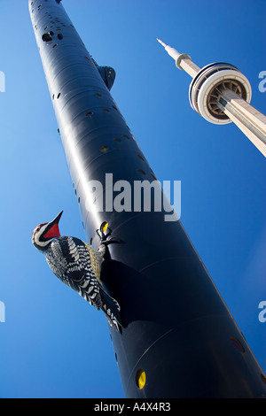 Woodpecker Column, CN Tower, Toronto, Ontario, Canada Stock Photo