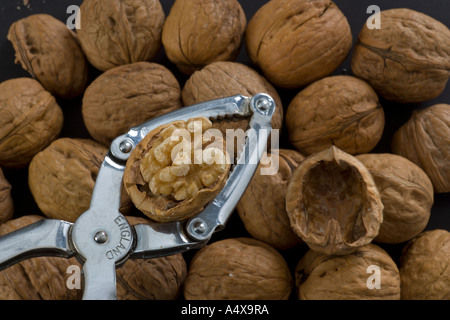 Ripe Walnuts Juglans regia and nut cracker Stock Photo