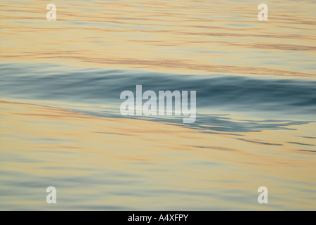 Smooth wave in the water Stock Photo