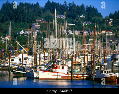 Fleet of fishing boats docked in at Yaquina Bay Harbor late summer Newport Oregon USA Stock Photo