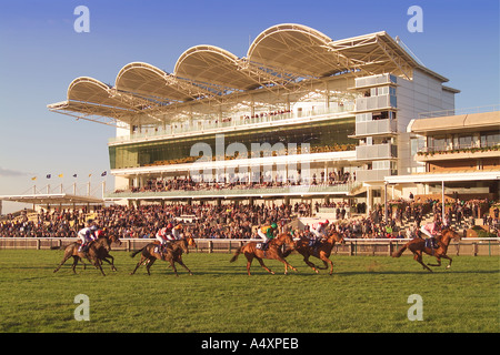 Horse racing at Rowley Mile Race Course Newmarket Suffolk England UK Stock Photo