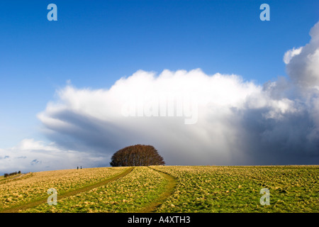 Storm Approaching with hail and extreme cold on Win Green Hill, Wiltshire Stock Photo