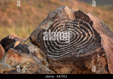 Hohokum Indian Rock Art Pictographs at Signal Hill area of Saguaro National Park Arizona Stock Photo