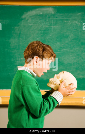 Boy looking at skull in classroom Stock Photo