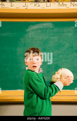 Boy holding skull in classroom Stock Photo