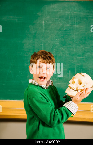 Boy holding skull in classroom Stock Photo