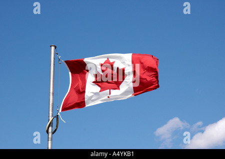 Canadian flag flapping in a strong wind against blue sky Stock Photo