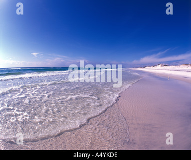 White sand shore of Grayton Beach State Park on the Gulf of Mexico coast of Florida USA Stock Photo