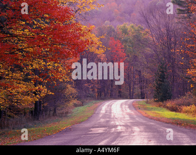 Road through Allegheny National Forest in late fall color autumn Pennsylvania USA Stock Photo