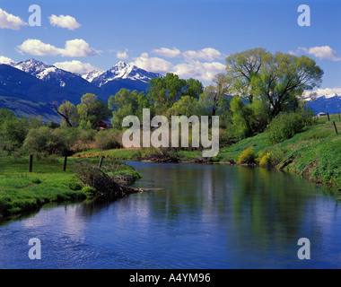 Depuys spring creek Paradise Valley Montana USA Property Release Stock Photo
