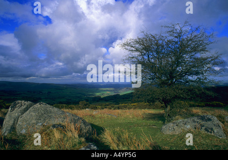 view across Dartmoor from near Holne Stock Photo