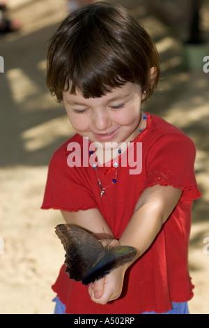 A girl holds a blue morpho butterfly at the Butterfly Farm on St Martin Stock Photo