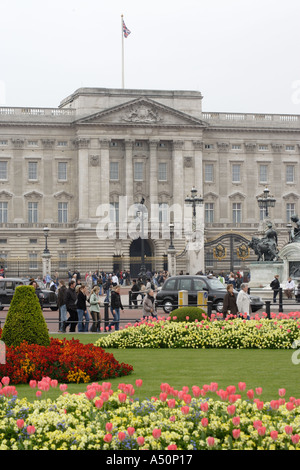 Tourists at Buckingham Palace, London, England, UK, Europe Stock Photo