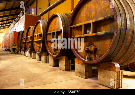 The wine cellar winery with big old wooden casks and concrete fermenting vats at Chateau des Fines Roches, Chateauneuf-du-Pape, Stock Photo