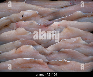 Small cod fillets Stock Photo